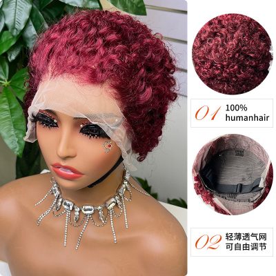 Colored Lace Front Wig — #99J Burgundy Curly