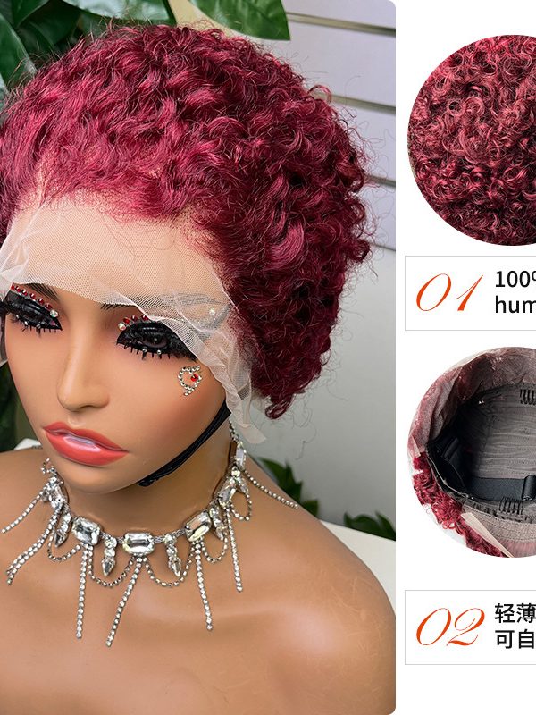 Colored Lace Front Wig — #99J Burgundy Curly - AZYHAIR Vietnamese Hair