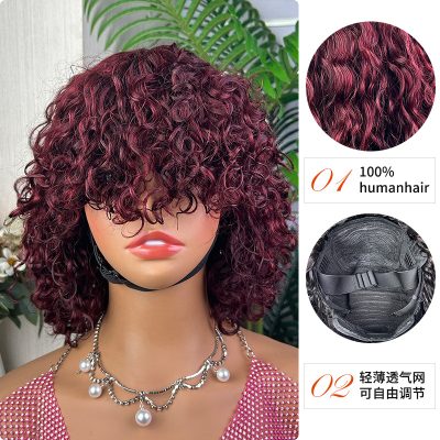 Wig with Bangs — Highlight Curly