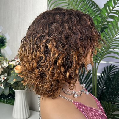 Wig with Bangs — Highlight Curly