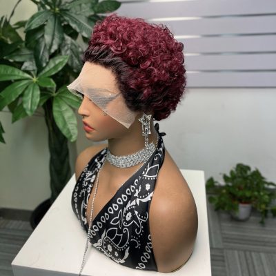 Pixie Cut Lace Wig — Brown Curly